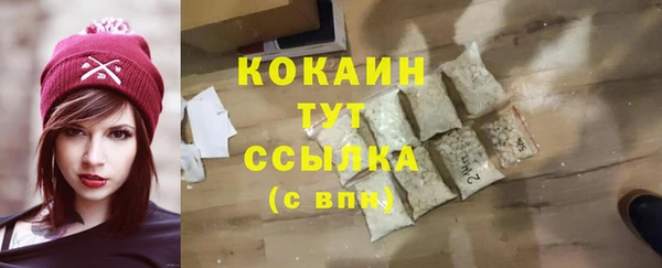 твердый Михайловск