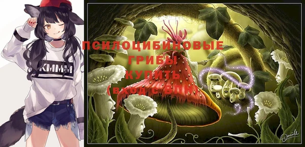 гашик Алзамай