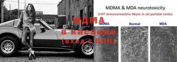 трава Алексин